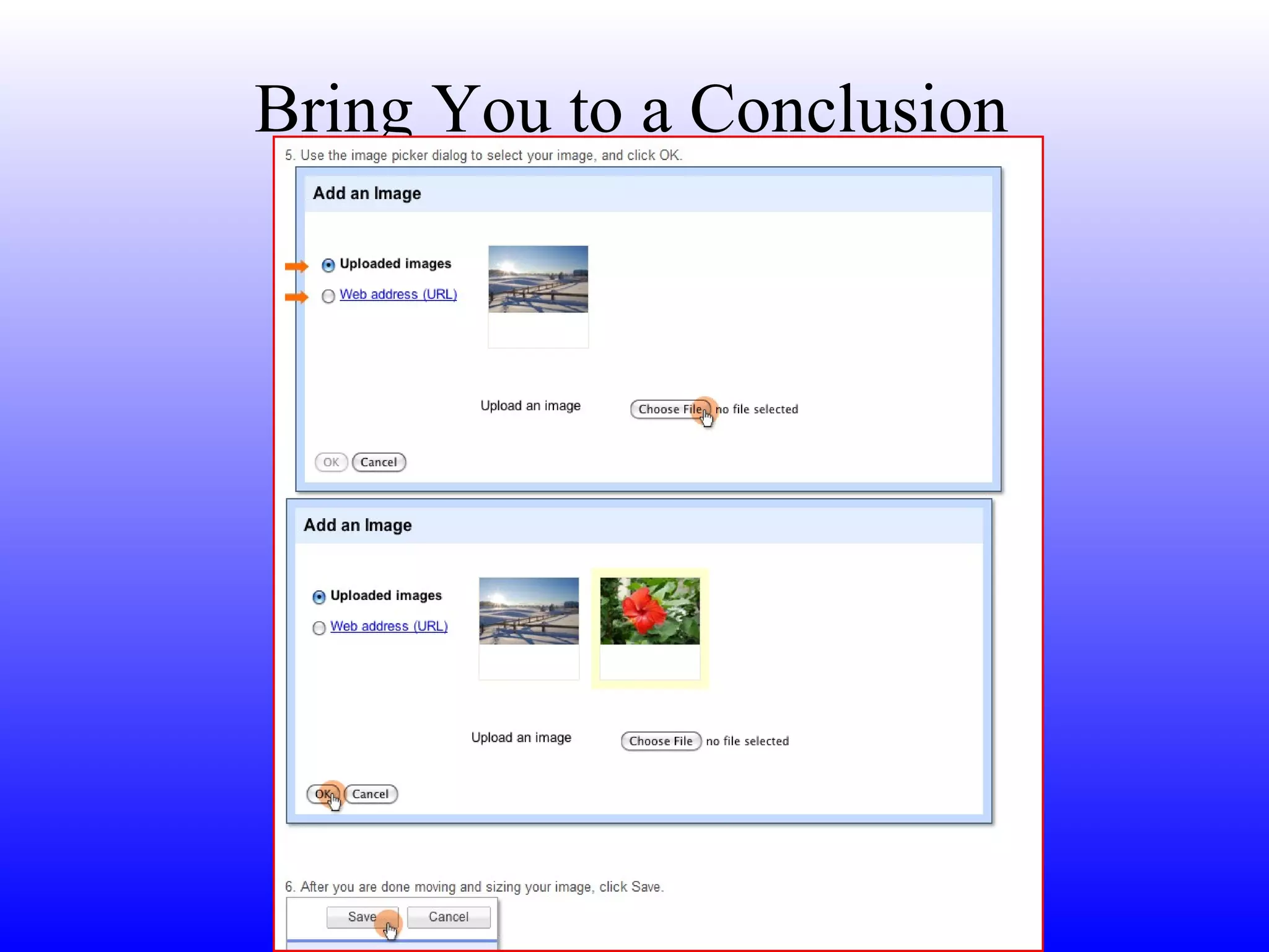 Bring You to a Conclusion 