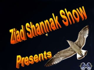 Ziad Shannak Show Presents 
