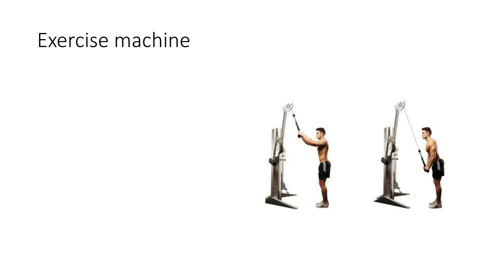 Free+Body+Diagrams+%1234567890281%29.pdf