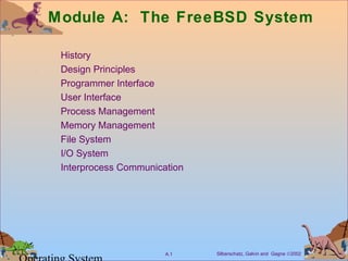 Module A: The FreeBSD System 
History 
Design Principles 
Programmer Interface 
User Interface 
Process Management 
Memory Management 
File System 
I/O System 
Interprocess Communication 
Silberschatz, Galvin A.1 and Gagne Ó2002 Operating System 
 