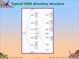 Silberschatz, Galvin and Gagne 2002
A.10
Operating System Concepts
Typical UNIX directory structure
 