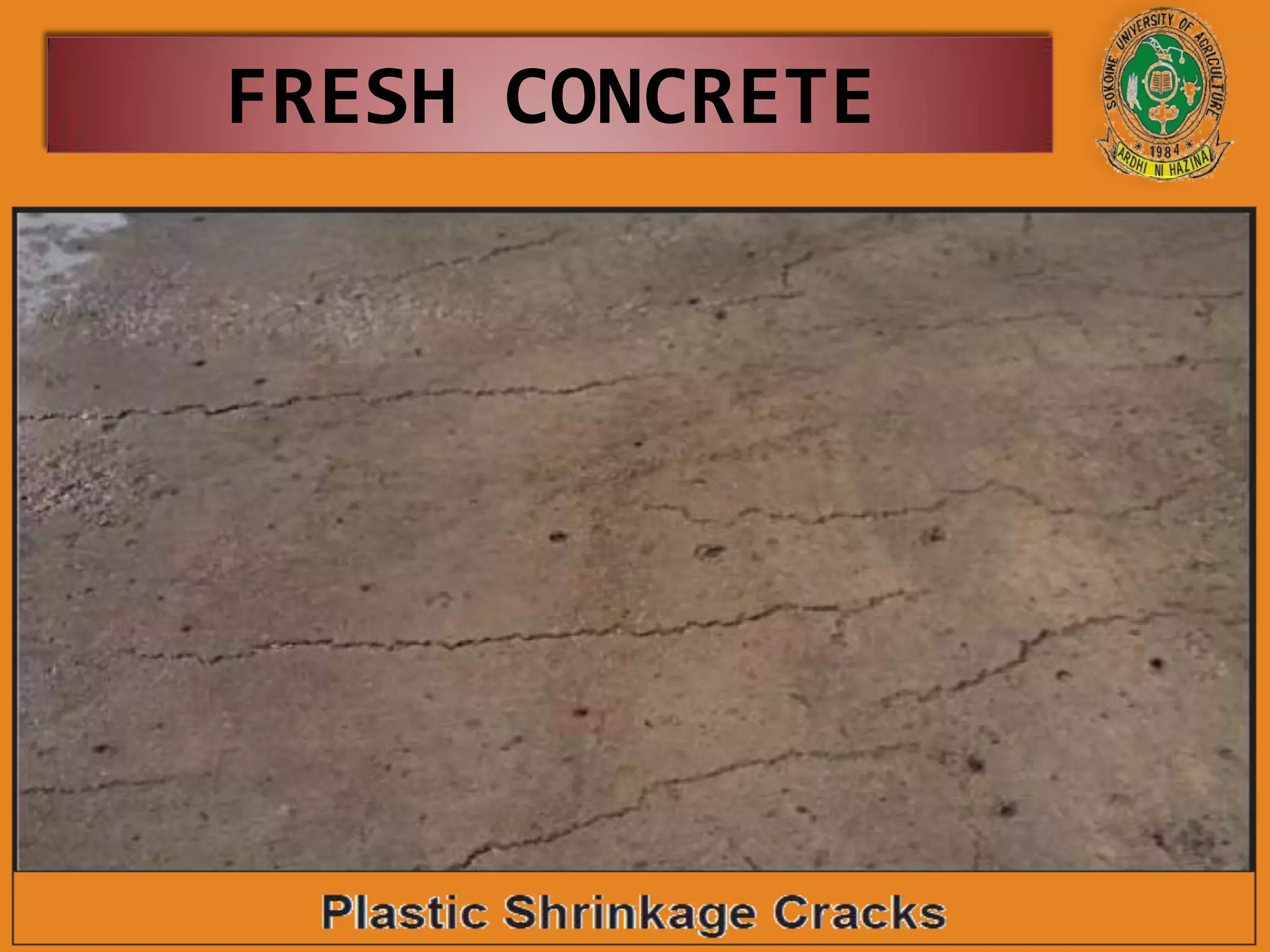 FRESH CONCRETE
 