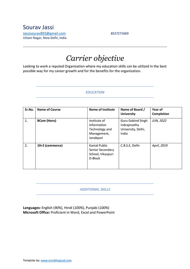 FREE CV TEMPLATE.pdf