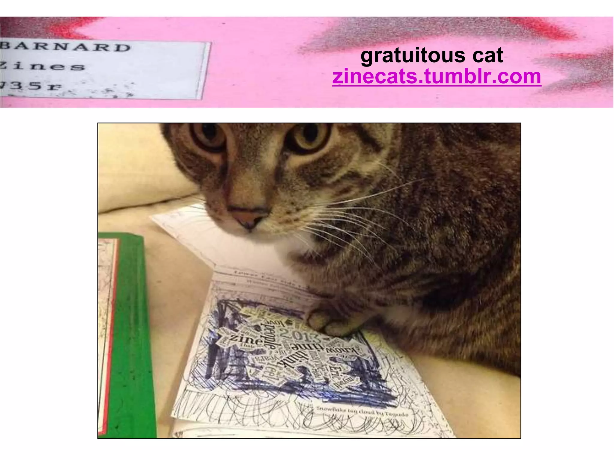 gratuitous cat
zinecats.tumblr.com
 