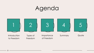 Freedom and types of freedom Presented by Maryam Ameen | PPT