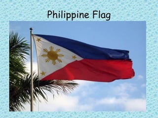 Philippine Flag
 