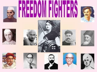 FREEDOM FIGHTERS 