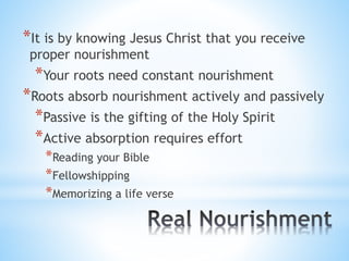 *It is by knowing Jesus Christ that you receive
proper nourishment
*Your roots need constant nourishment
*Roots absorb nourishment actively and passively
*Passive is the gifting of the Holy Spirit
*Active absorption requires effort
*Reading your Bible
*Fellowshipping
*Memorizing a life verse
 