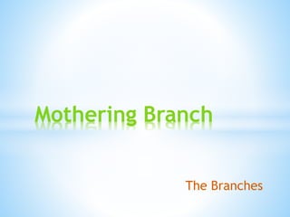 The Branches
Mothering Branch
 