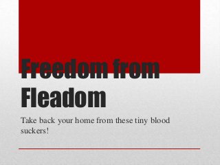 Freedom from
Fleadom
Take back your home from these tiny blood
suckers!
 