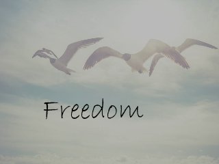 Freedom 
 