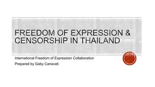 International Freedom of Expression Collaboration
Prepared by Gaby Canavati
 