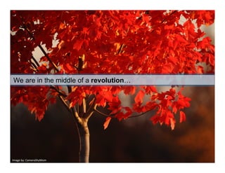  We     are in the middle of a revolution…




Image by: CameraShyMom 
 