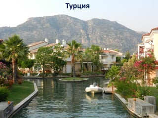 Турция
 