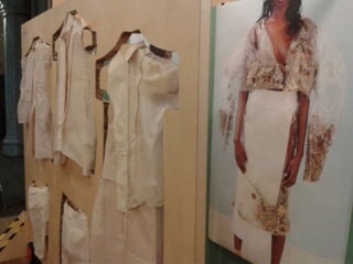 Frances Reed Sustainability at Garden Museum - SEfM presentation