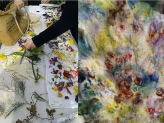 Frances Reed Sustainability at Garden Museum - SEfM presentation