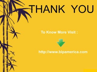 THANK YOU
To Know More Visit :
http://www.bipamerica.com
 