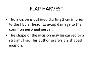 FLAP HARVEST
• The incision is outlined starting 2 cm inferior
to the fibular head (to avoid damage to the
common peroneal nerve).
• The shape of the incision may be curved or a
straight line. This author prefers a S-shaped
incision.
 
