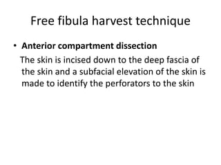 Free fibula harvest technique
• Anterior compartment dissection
The skin is incised down to the deep fascia of
the skin and a subfacial elevation of the skin is
made to identify the perforators to the skin
 
