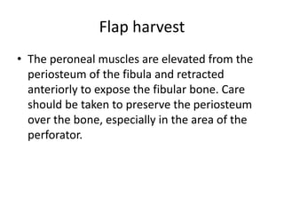 Flap harvest
• The peroneal muscles are elevated from the
periosteum of the fibula and retracted
anteriorly to expose the fibular bone. Care
should be taken to preserve the periosteum
over the bone, especially in the area of the
perforator.
 