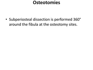 Osteotomies
• Subperiosteal dissection is performed 360°
around the fibula at the osteotomy sites.
 