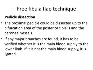 Free fibula flap technique
Pedicle dissection
• The proximal pedicle could be dissected up to the
bifurcation area of the posterior tibialis and the
peroneal vessels.
• If any major branches are found, it has to be
verified whether it is the main blood supply to the
lower limb. If it is not the main blood supply, it is
ligated.
 