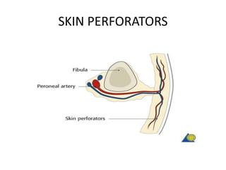 SKIN PERFORATORS
 