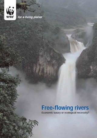 Free-flowing rivers
Economic luxury or ecological necessity?
 