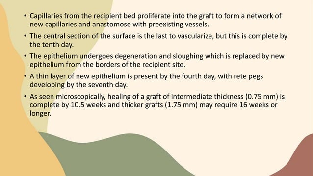 Free gingival graft PPT Free gingival graft PPT