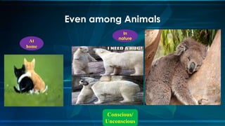 Even among Animals
At
home
In
nature
Conscious/
Unconscious
 