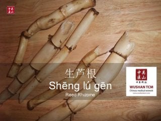 Free introduction - Learning Chinese herbal names