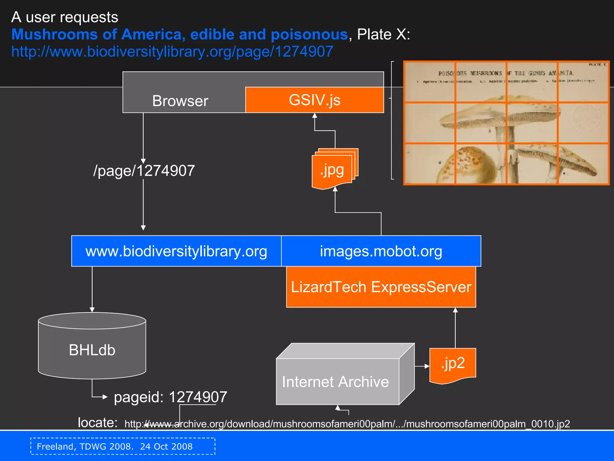 LizardTech ExpressServer Browser  GSIV.js www.biodiversitylibrary.org .jp2 .jpg Internet Archive  /page/1274907 pageid: 1274907 BHLdb http://www.archive.org/download/mushroomsofameri00palm/.../mushroomsofameri00palm_0010.jp2  images.mobot.org A user requests  Mushrooms of America, edible and poisonous , Plate X: http://www.biodiversitylibrary.org/page/1274907   locate: 