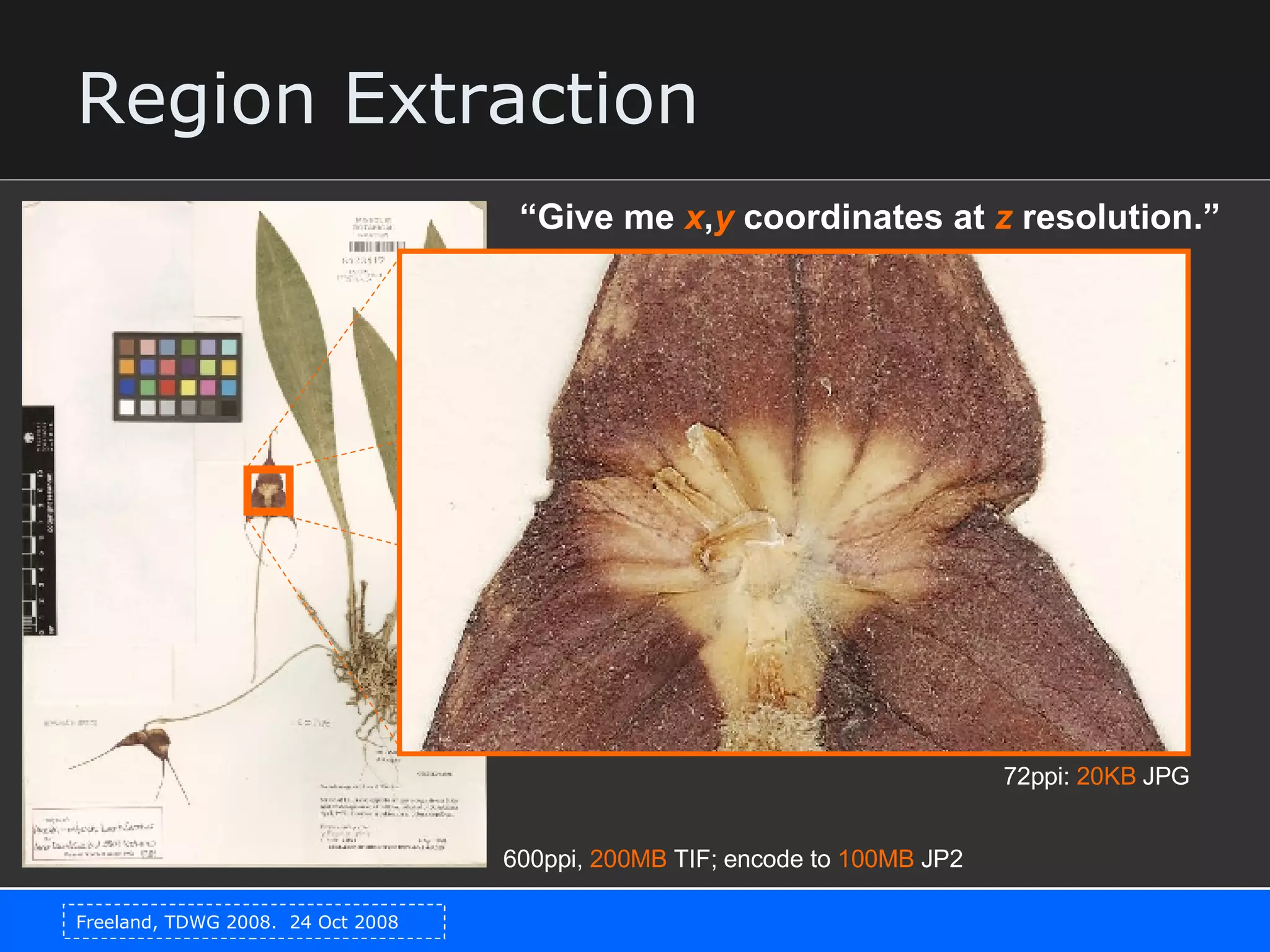 Region Extraction “ Give me  x , y  coordinates at  z  resolution.” 600ppi,  200MB  TIF; encode to  100MB  JP2 72ppi:  20KB  JPG 
