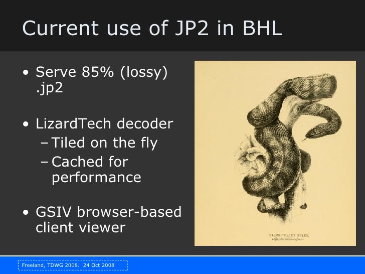 using the jpeg2000 image format for storage and access in biodiversit jp2 format