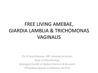 FREE LIVING AMEBAE,
GIARDIA LAMBLIA & TRICHOMONAS
VAGINALIS
Dr. R. Someshwaran, MD.,Assistant professor,
Dept. of Microbiology,
Karpagam Faculty of Medical Sciences & Research,
Othakalmandapam, Coimbatore-641032
 