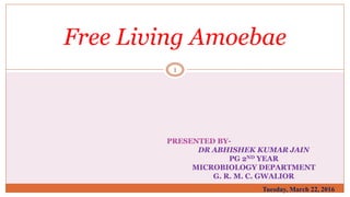 PRESENTED BY-
DR ABHISHEK KUMAR JAIN
PG 2ND YEAR
MICROBIOLOGY DEPARTMENT
G. R. M. C. GWALIOR
Free Living Amoebae
1
Tuesday, March 22, 2016
 