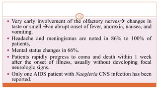  Very early involvement of the olfactory nerves changes in
taste or smell an abrupt onset of fever, anorexia, nausea, and
vomiting.
 Headache and meningismus are noted in 86% to 100% of
patients,
 Mental status changes in 66%.
 Patients rapidly progress to coma and death within 1 week
after the onset of illness, usually without developing focal
neurologic signs.
 Only one AIDS patient with Naegleria CNS infection has been
reported.
14
 