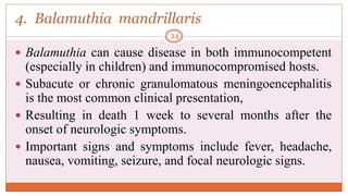 4. Balamuthia mandrillaris
 Balamuthia can cause disease in both immunocompetent
(especially in children) and immunocompromised hosts.
 Subacute or chronic granulomatous meningoencephalitis
is the most common clinical presentation,
 Resulting in death 1 week to several months after the
onset of neurologic symptoms.
 Important signs and symptoms include fever, headache,
nausea, vomiting, seizure, and focal neurologic signs.
24
 