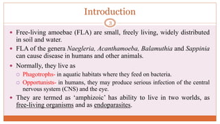 Introduction
 Free-living amoebae (FLA) are small, freely living, widely distributed
in soil and water.
 FLA of the genera Naegleria, Acanthamoeba, Balamuthia and Sappinia
can cause disease in humans and other animals.
 Normally, they live as
 Phagotrophs- in aquatic habitats where they feed on bacteria.
 Opportunists- in humans, they may produce serious infection of the central
nervous system (CNS) and the eye.
 They are termed as ‘amphizoic’ has ability to live in two worlds, as
free-living organisms and as endoparasites.
3
 