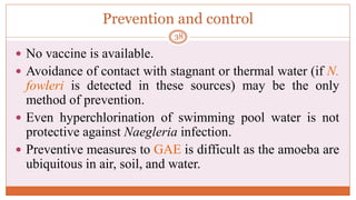 Prevention and control
 No vaccine is available.
 Avoidance of contact with stagnant or thermal water (if N.
fowleri is detected in these sources) may be the only
method of prevention.
 Even hyperchlorination of swimming pool water is not
protective against Naegleria infection.
 Preventive measures to GAE is difficult as the amoeba are
ubiquitous in air, soil, and water.
38
 