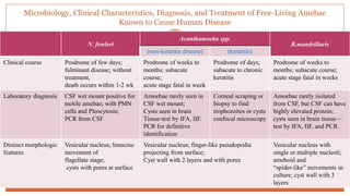 Microbiology, Clinical Characteristics, Diagnosis, and Treatment of Free-Living Amebae
Known to Cause Human Disease
41
N. fowleri
Acanthamoeba spp.
B.mandrillaris
(non-keratitis disease) (keratitis)
Clinical course Prodrome of few days;
fulminant disease; without
treatment,
death occurs within 1-2 wk
Prodrome of weeks to
months; subacute
course;
acute stage fatal in week
Prodrome of days;
subacute to chronic
keratitis
Prodrome of weeks to
months; subacute course;
acute stage fatal in weeks
Laboratory diagnosis CSF wet mount positive for
motile amebae; with PMN
cells and Pleocytosis;
PCR from CSF
Amoebae rarely seen in
CSF wet mount;
Cysts seen in brain
Tissue-test by IFA, IIF.
PCR for definitive
identification
Corneal scraping or
biopsy to find
trophozoites or cysts
confocal microscopy
Amoebae rarely isolated
from CSF, but CSF can have
highly elevated protein;
cysts seen in brain tissue—
test by IFA, IIF, and PCR.
Distinct morphologic
features
Vesicular nucleus; limacine
movement of
flagellate stage;
cysts with pores at surface
Vesicular nucleus; finger-like pseudopodia
projecting from surface;
Cyst wall with 2 layers and with pores
Vesicular nucleus with
single or multiple nucleoli;
ameboid and
“spider-like” movements in
culture; cyst wall with 3
layers
 
