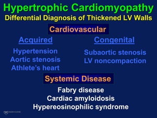 Hypertrophic Cardiomyopathy
Differential Diagnosis of Thickened LV Walls
Cardiovascular
Systemic Disease
Acquired Congenital
Hypertension
Aortic stenosis
Athlete’s heart
Subaortic stenosis
LV noncompaction
Fabry disease
Cardiac amyloidosis
Hypereosinophilic syndrome
 