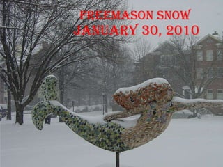 Freemason Snow  January 30, 2010 