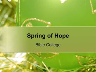 Spring of Hope
Bible College
 