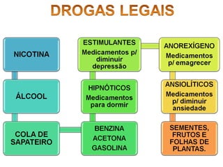 Freemid 2013 bernadete