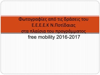 Φωτογραφίες από τις δράσεις του
Ε.Ε.Ε.Ε.Κ Ν.Ποτίδαιας
στα πλαίσια του προγράμματος
free mobility 2016-2017
 