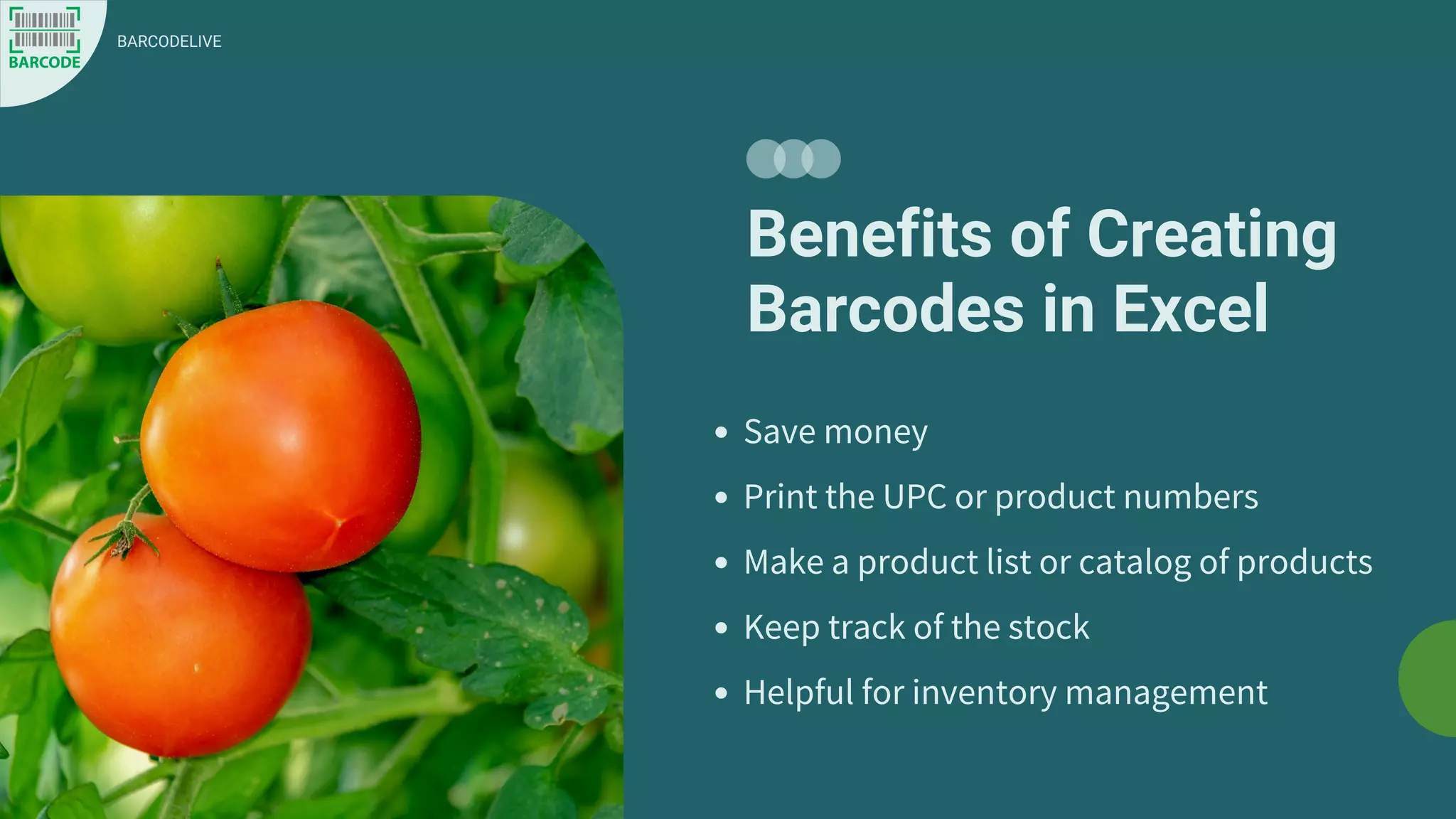 free online barcode generator excel (1).pdf