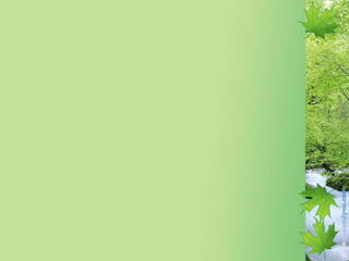 Free powerpoint seasons slide template