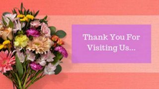 Free Premium WordPress Themes