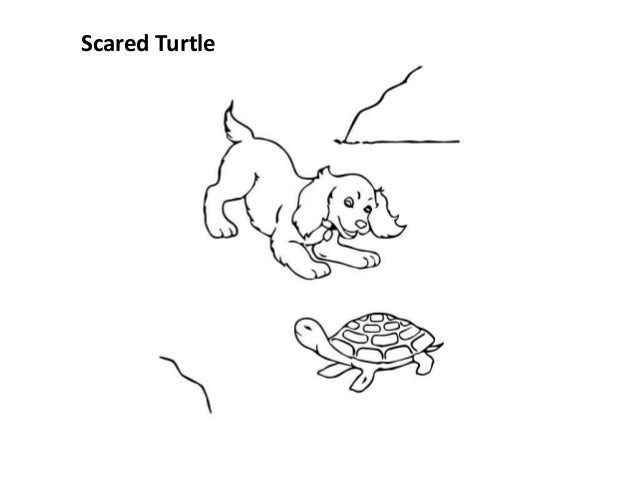 Gambar Free Printable Cute Turtle Coloring Pages Kids Scared 3 Turtles gambar-free-printable-cute-turtle-coloring-pages-kids-scared-3-turtles